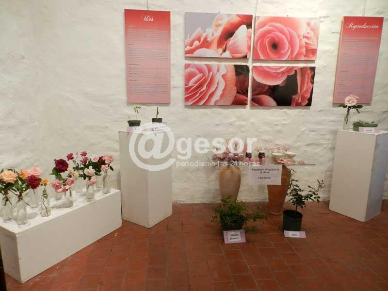 En Manzana 20 con renovado éxito en cantidad de expositores, de concursantes en la categorías jardines y destacados números artísticos se cierra este domingo la 8ª Fiesta de la Rosa
